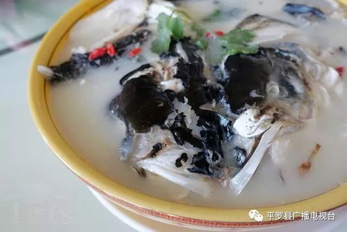趕集啦 沙湖大魚頭 扁豆涼粉 辣爆羊羔肉,在姚伏逛大集,我要吃油嘴